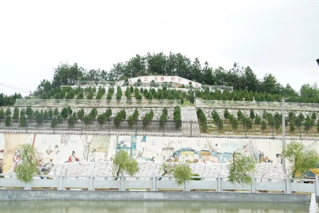 微信圖片_8.jpg 微信圖片_8.jpg